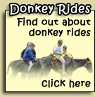 Click here to find out about donkey rides