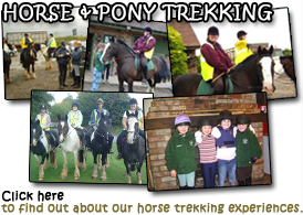 Read about horse & pony trekking